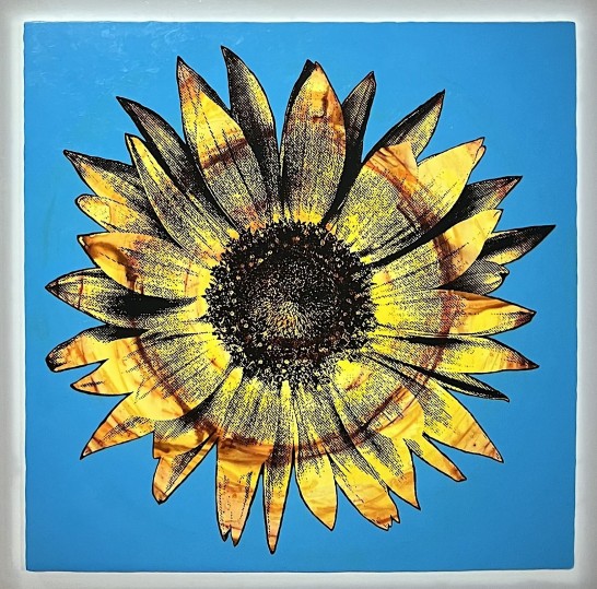 Sunflower series Light Blue/Yellow